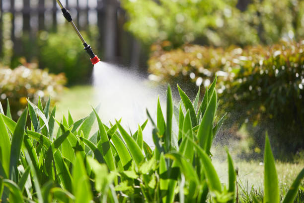 24/7 Emergency Cockroach Control experts in LaFayette, GA