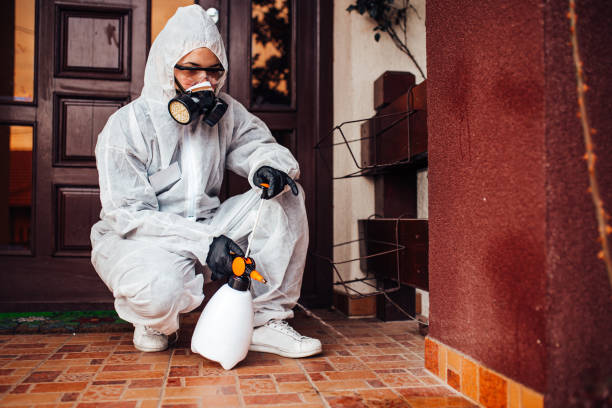Reliable Cockroach Control contractor in LaFayette, GA by Nex Pest Control