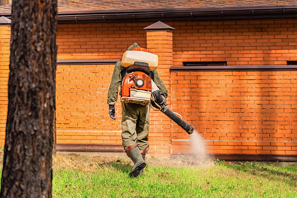 Top rated local Cockroach Control specialists in LaFayette, GA